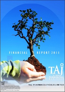 1. Summary Financial Statement - 2011