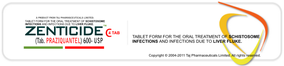 ZENTICIDE ( Praziquantel ) 600 mg Tablet