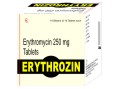 erythrozin image1