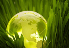 worldwide Annual & Sustainability