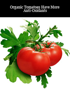 Anti-Oxidants