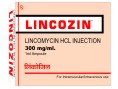 lincozin image2