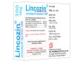lincozin image3