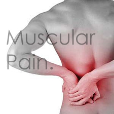 muscular pain