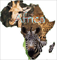 africa Images