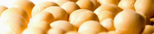 Tenoxicam banner