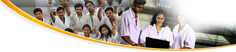 career opportunities 