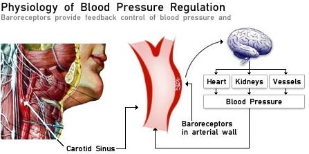 blood pressure explained